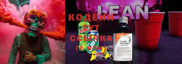 дживик Арсеньев