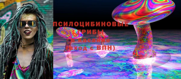 дживик Арсеньев