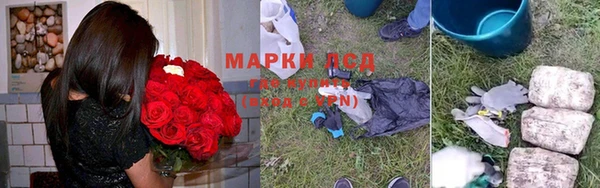 дживик Арсеньев