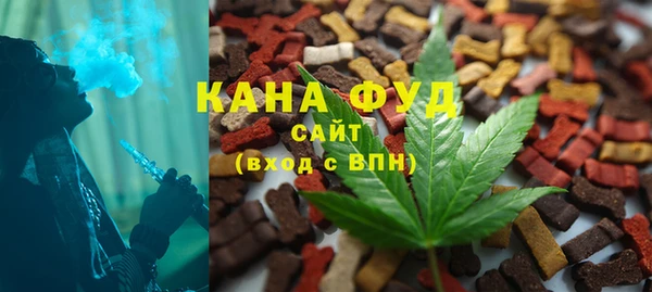 дживик Арсеньев