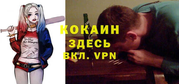 дживик Арсеньев